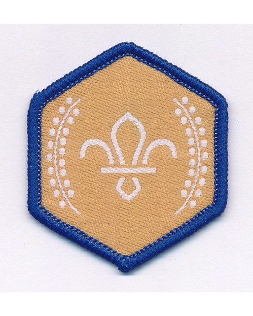 Badges – Beaver Chief Scout’s Bronze Award