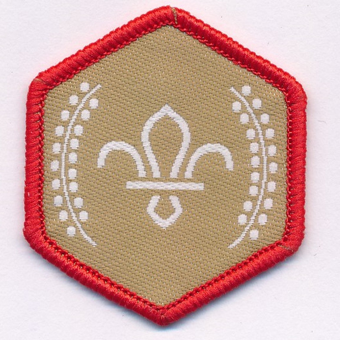 Badges – Scouts Chief Scout’s Gold Award