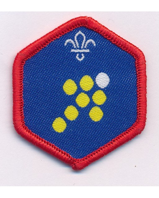 Badges – Scouts Challenge Award Team Leader