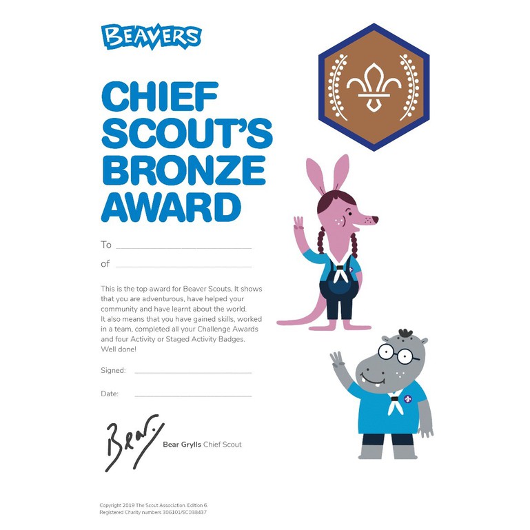 Badges – Beaver Chief Scout’s Bronze Award Certificate (Pack of 10)